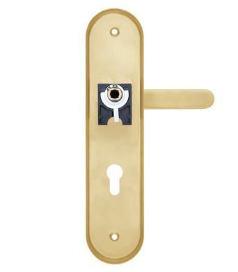 Фурнітура захисна ROSTEX *SOLID-PRO F fix-mov DIN PLATE 90мм Нерж.сталь_мат_титан_PVD 13мм 38-52мм 3клас Slza/Solid NEREZ_MAT_TI Комплект RST-4027388203 фото